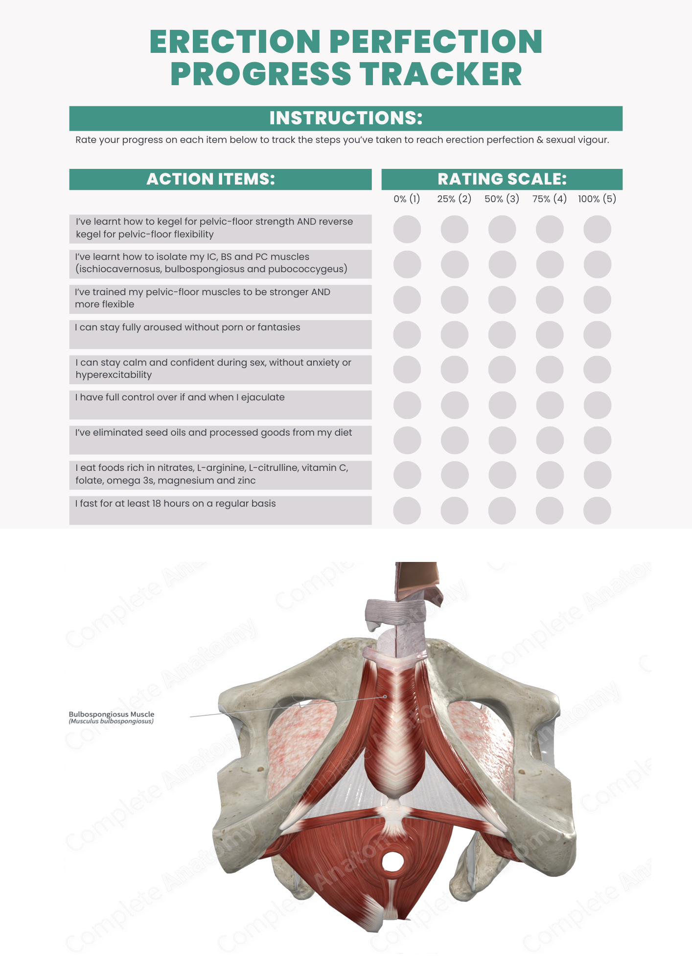 Erection Perfection Progress Tracker + Pelvic-Floor Training Guide